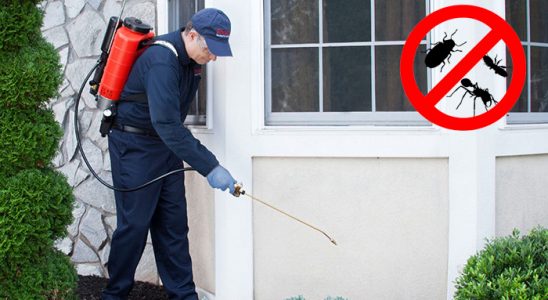Espiye Akrep İlaçlama böcek ilaçlama ve haşere kontrolü — ilaclama-tr.com